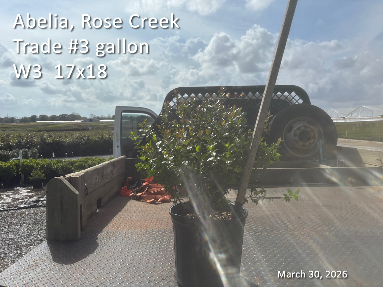 gallery/arc3t w3 mar30.jpg